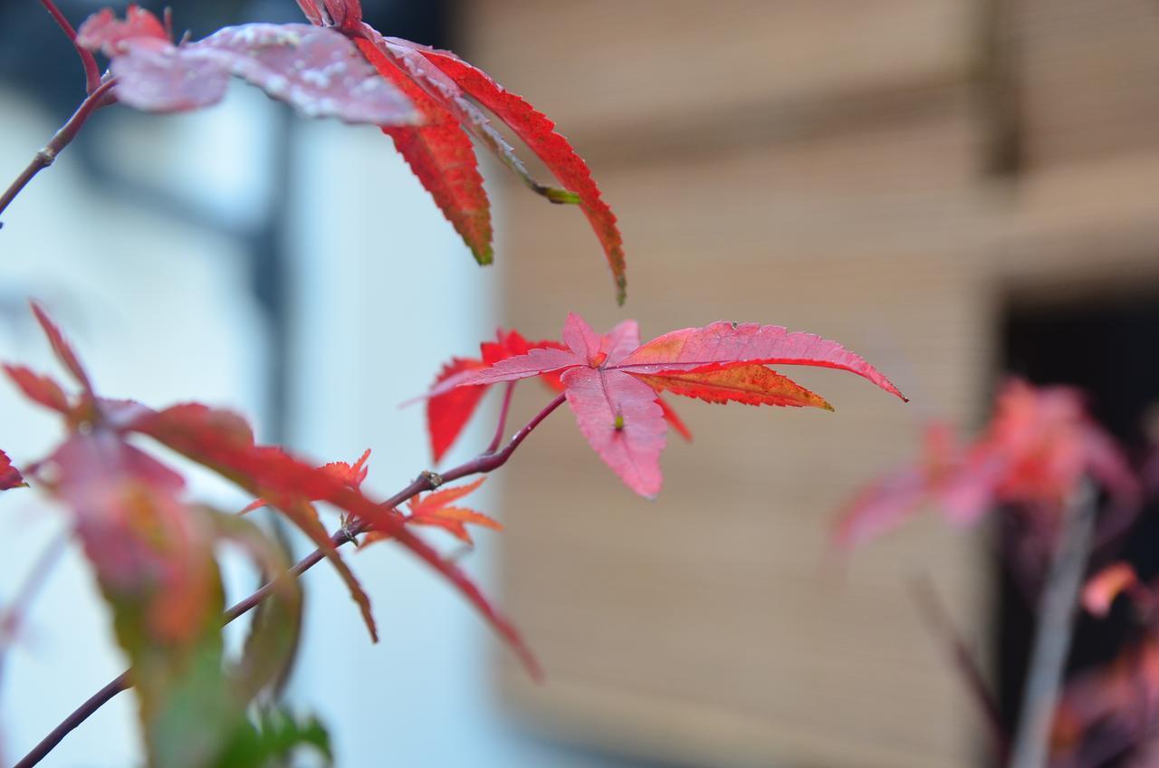 Miyabi Cosy House Hotel Kyoto Exterior photo