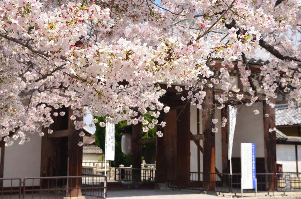 Miyabi Cosy House Hotel Kyoto Exterior photo